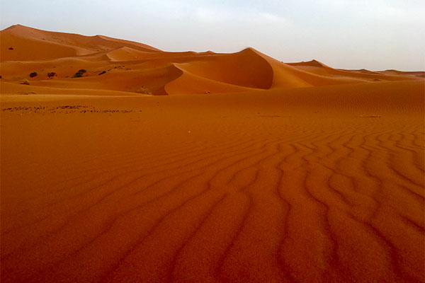 Sahara - písečné duny Erg Chebbi